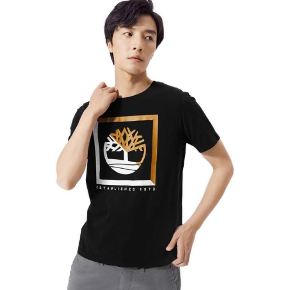 Timberland T
