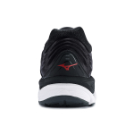 Mizuno Paradox 5