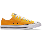 Converse Chuck Taylor All Star Seasonal Color Low Top