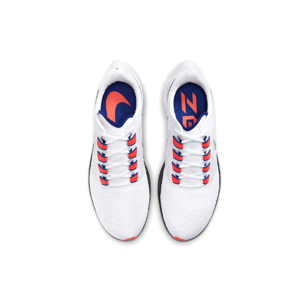 Nike Pegasus 37