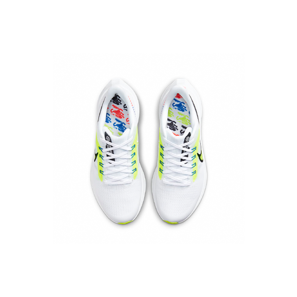 Nike Air Zoom Pegasus 39
