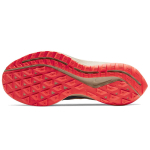 Nike Pegasus 36 Trail