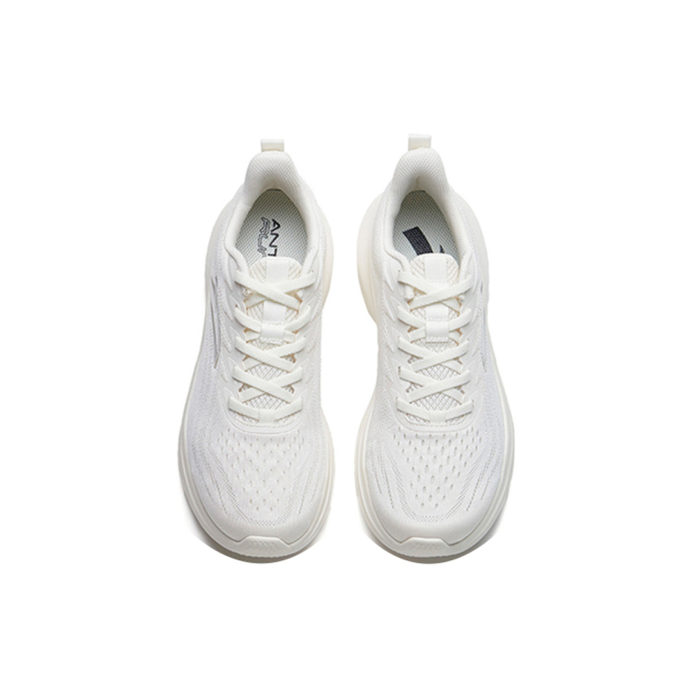 Anta