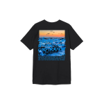 Stussy Clear Day T