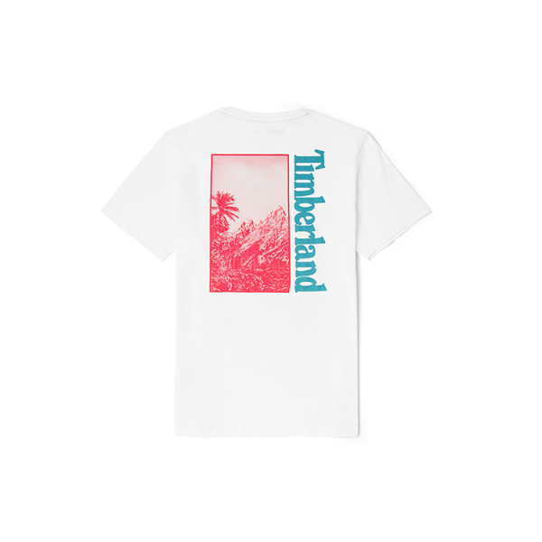 Timberland T