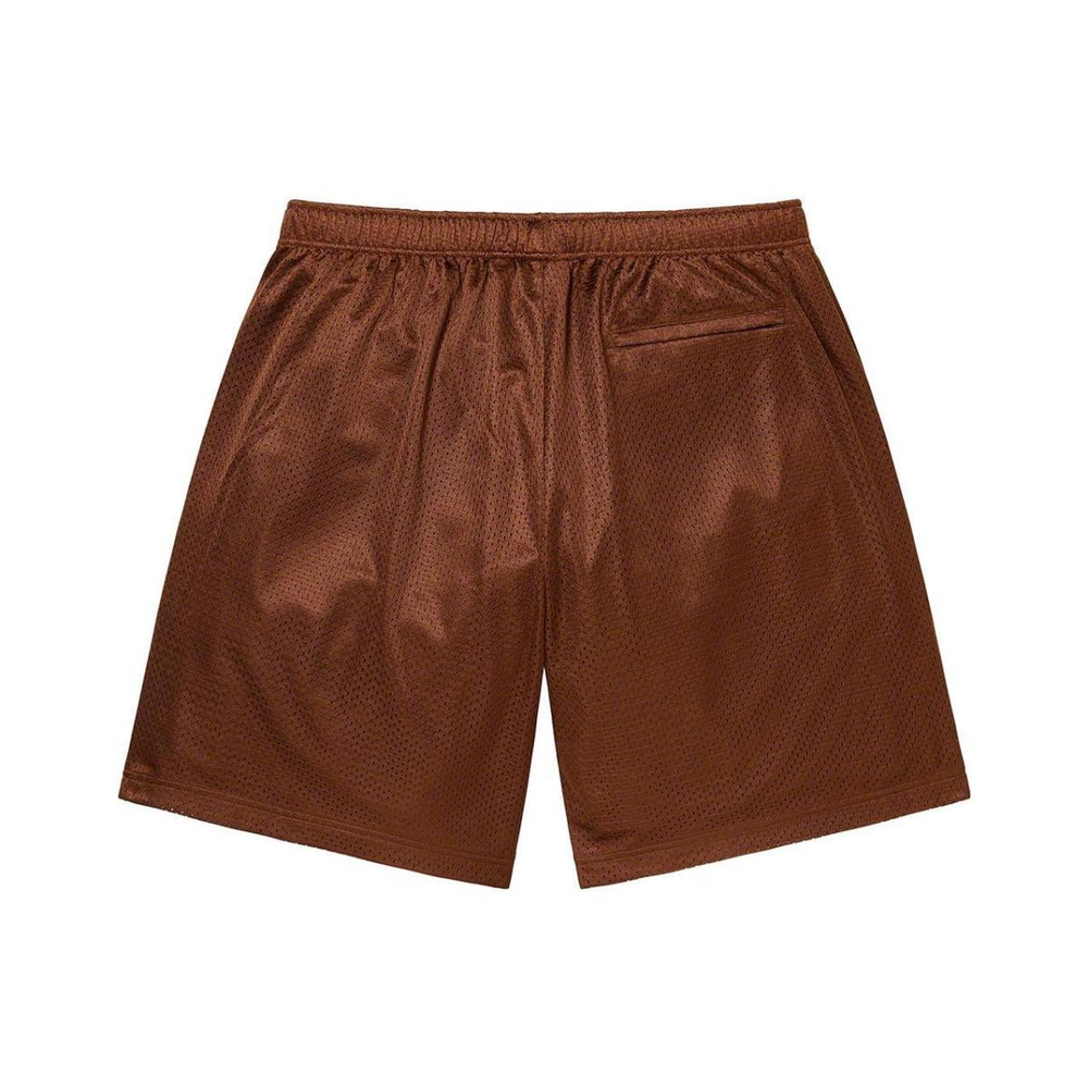 Supreme SS23 Week14 SMALL BOX BAGGY MESH SHORT logo
