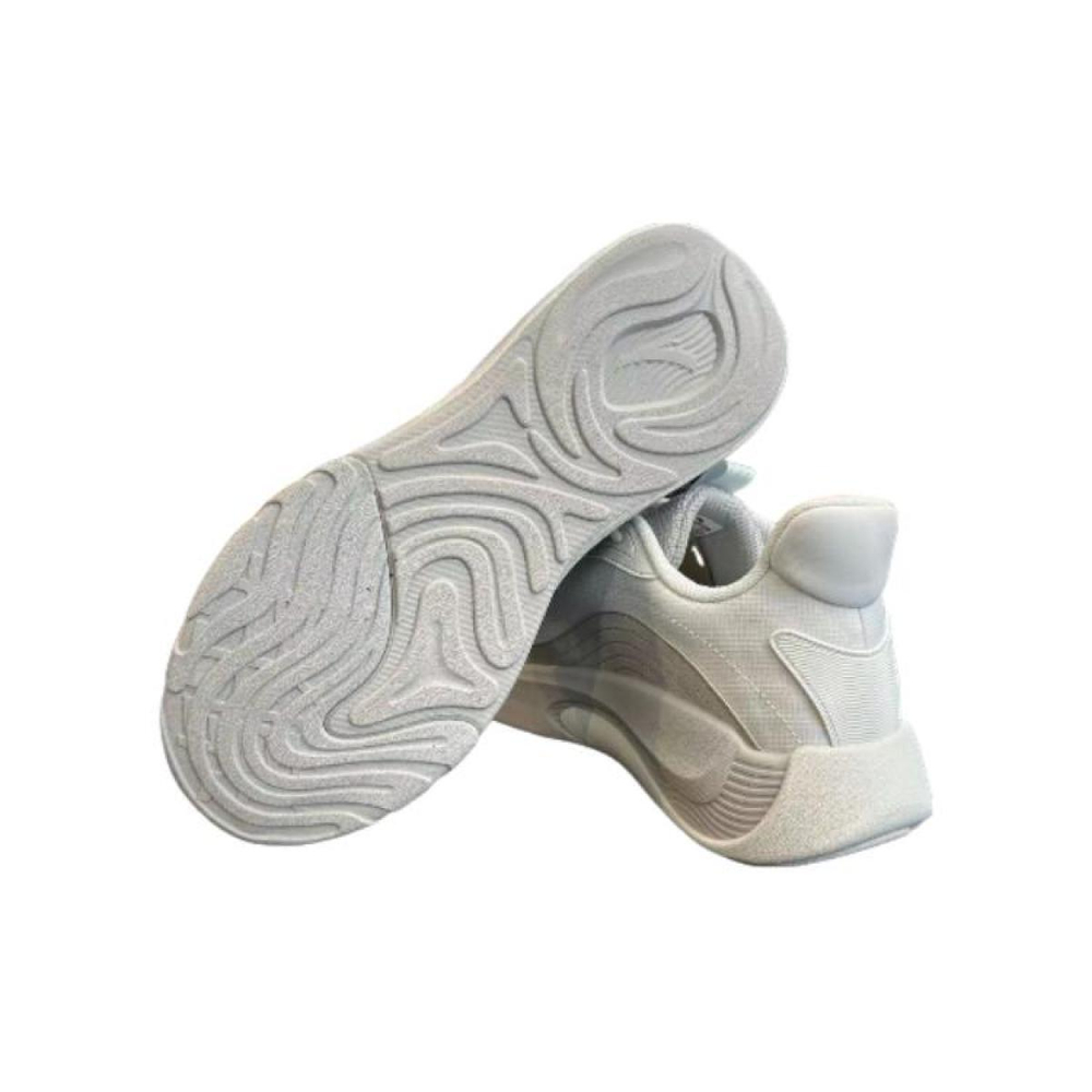 Anta