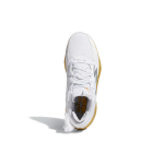 Adidas D lillard 8 "Laheem The Dream" 8 TPU