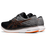Asics EvoRide 2 AHAR+
