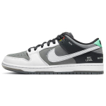 Nike Dunk SB pro iso "vx1000 camcorder"