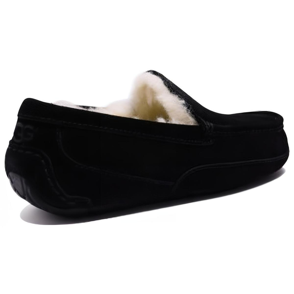 UGG Ascot
