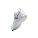 Mizuno Dynablitz mid