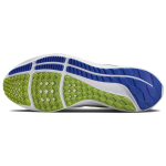 Nike Air Zoom Pegasus 39