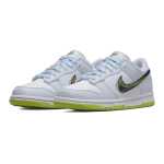 Nike Dunk 3D