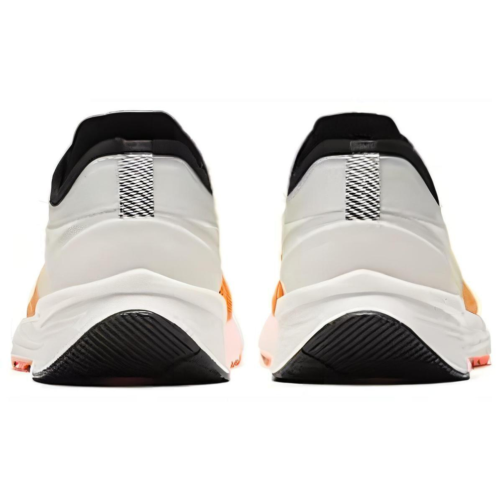 Anta