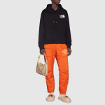 GUCCI x /THE NORTH FACE GUCCI x THE NORTH FACE Logo