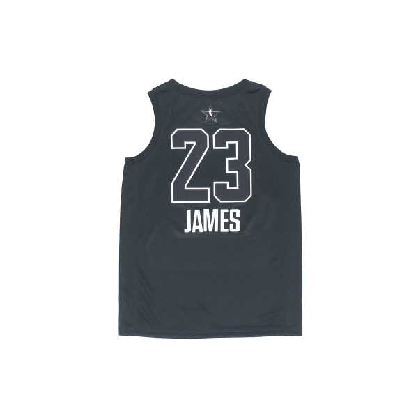 Air Jordan NBA James SW Jersey