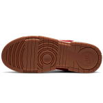 Nike Dunk Disrupt
