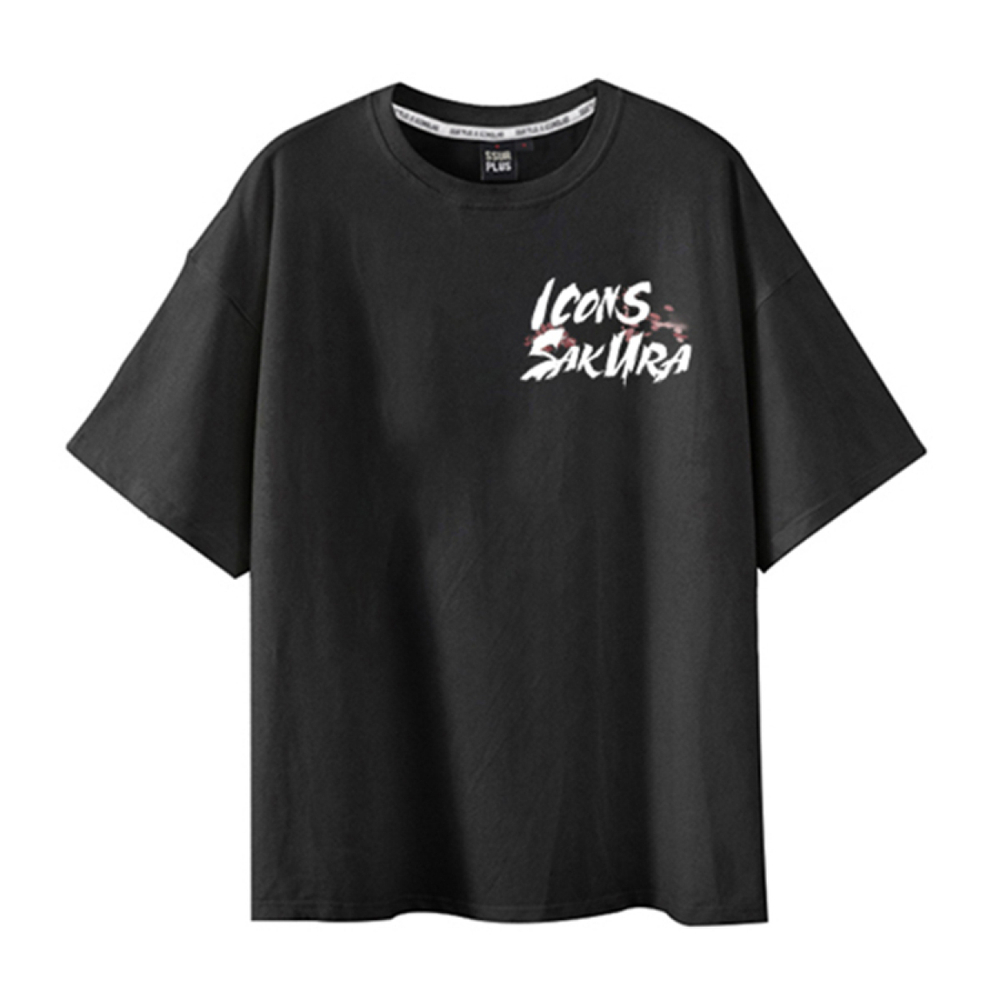 ICONS Lab T