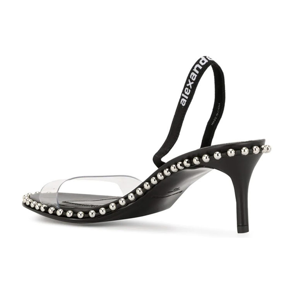 Alexander wang