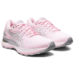 Asics Gel-Nimbus 22