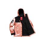 Supreme TNF TNF Metallic Parka