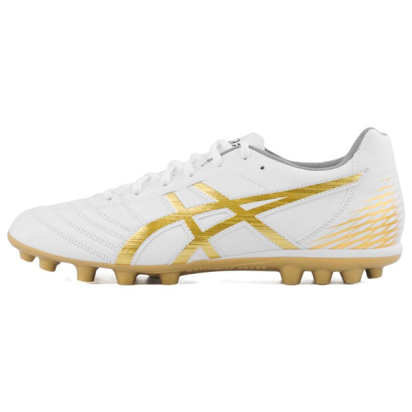 Asics DS LIGHT AG（ ）