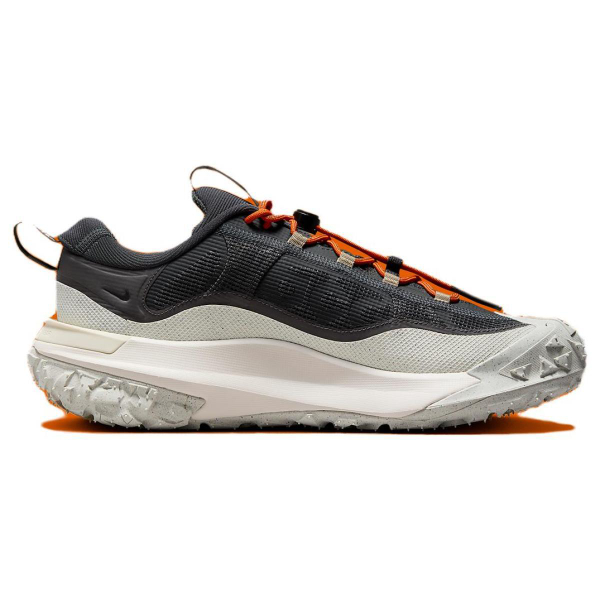 Nike ACG Mountain Fly 2 Low Gore-Tex