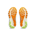 Asics Gel-Kayano 30