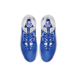 Nike PG 3 (Team)
