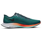 Nike Pegasus turbo 2