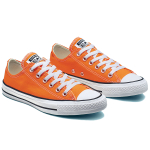 Converse Chuck Taylor All Star Seasonal Color Low Top