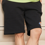 Dickies SS21 logo
