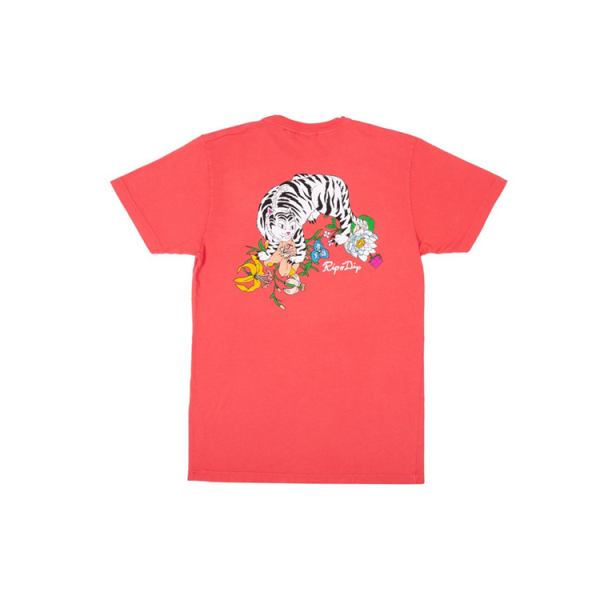 RIPNDIP T