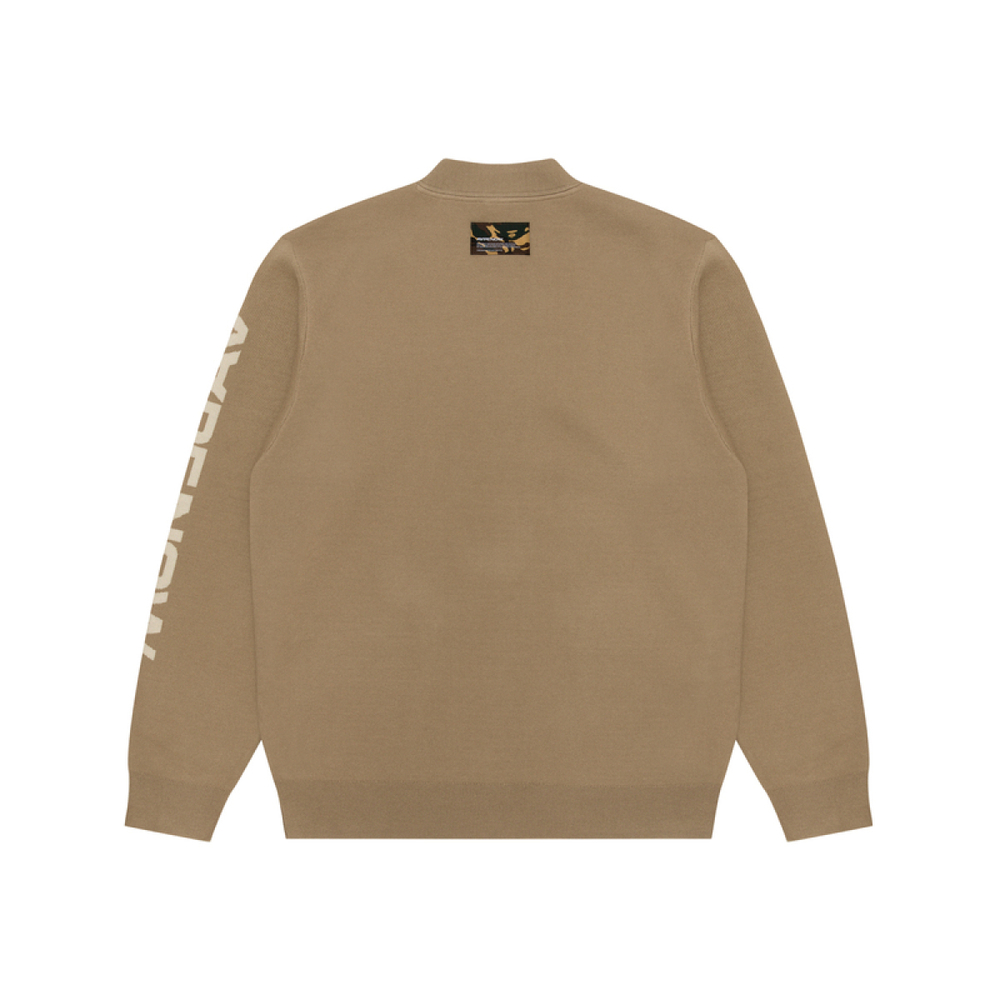 Aape V
