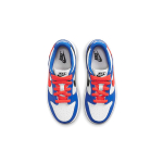 Nike Dunk