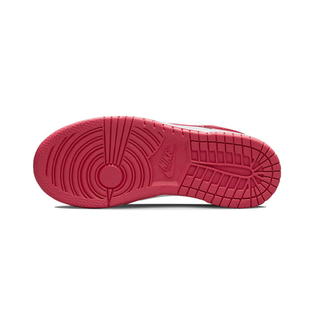 Nike Dunk Gypsy Rose