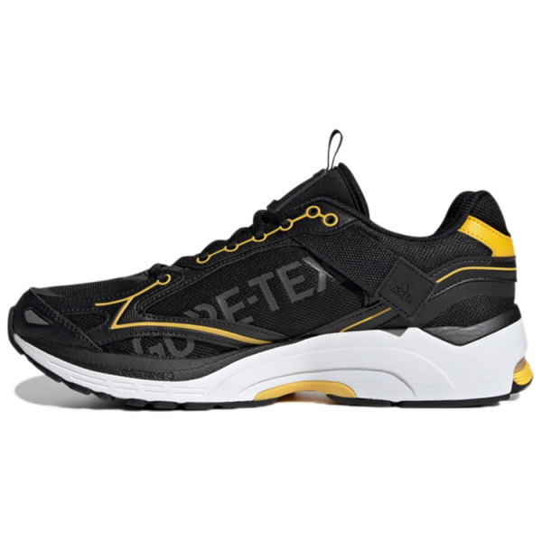 Adidas Spiritain 2000 Gtx
