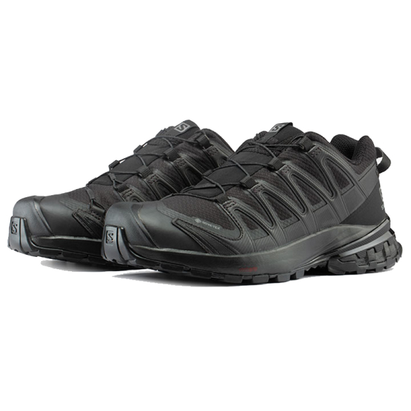 SALOMON XA Pro 3D V8 GTX