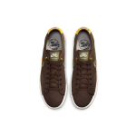 Daan Van Der Linden x Nike Blazer SB Court