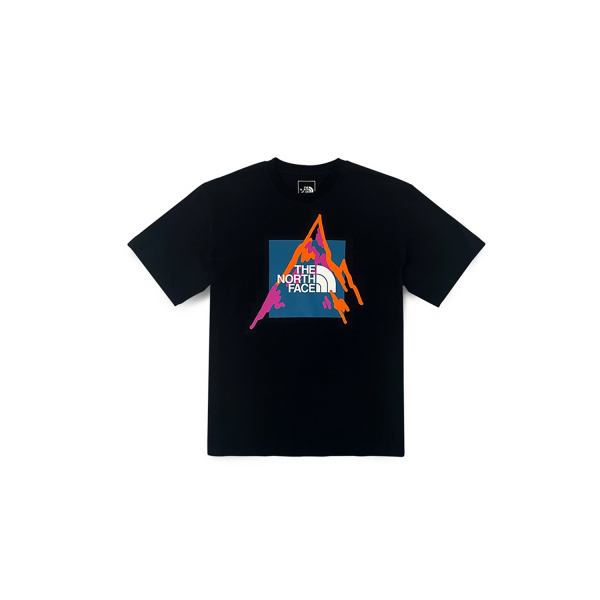 THE NORTH FACE NORTH FACE SS23 Logo T