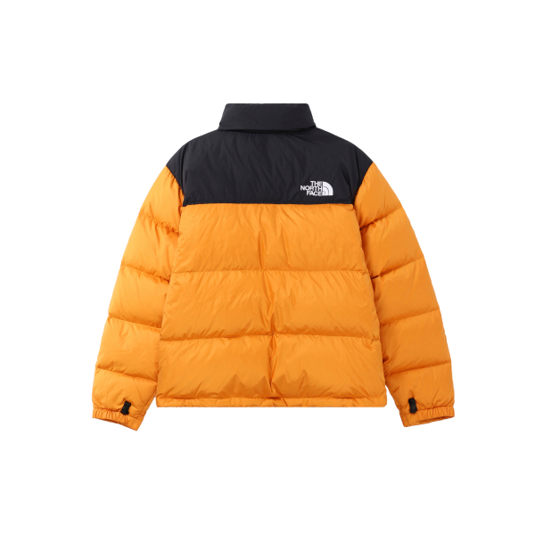 THE NORTH FACE 1996 Logo 700