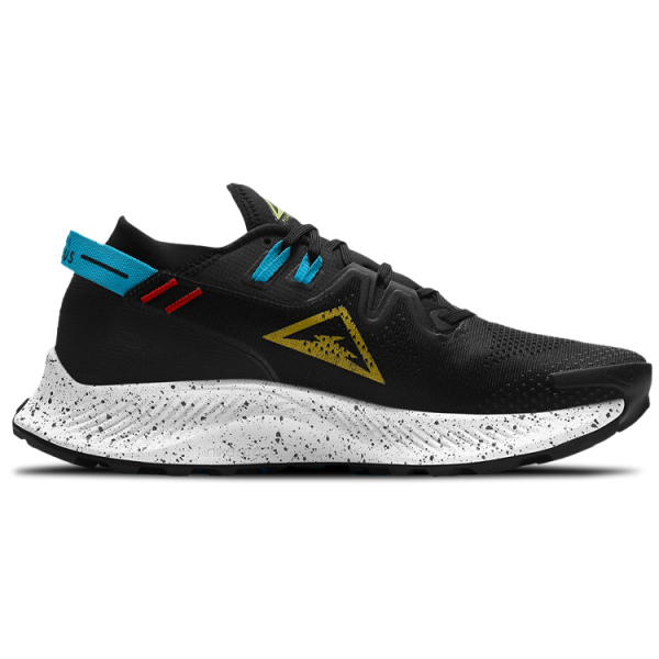 Nike Pegasus Trail 2 Zoom