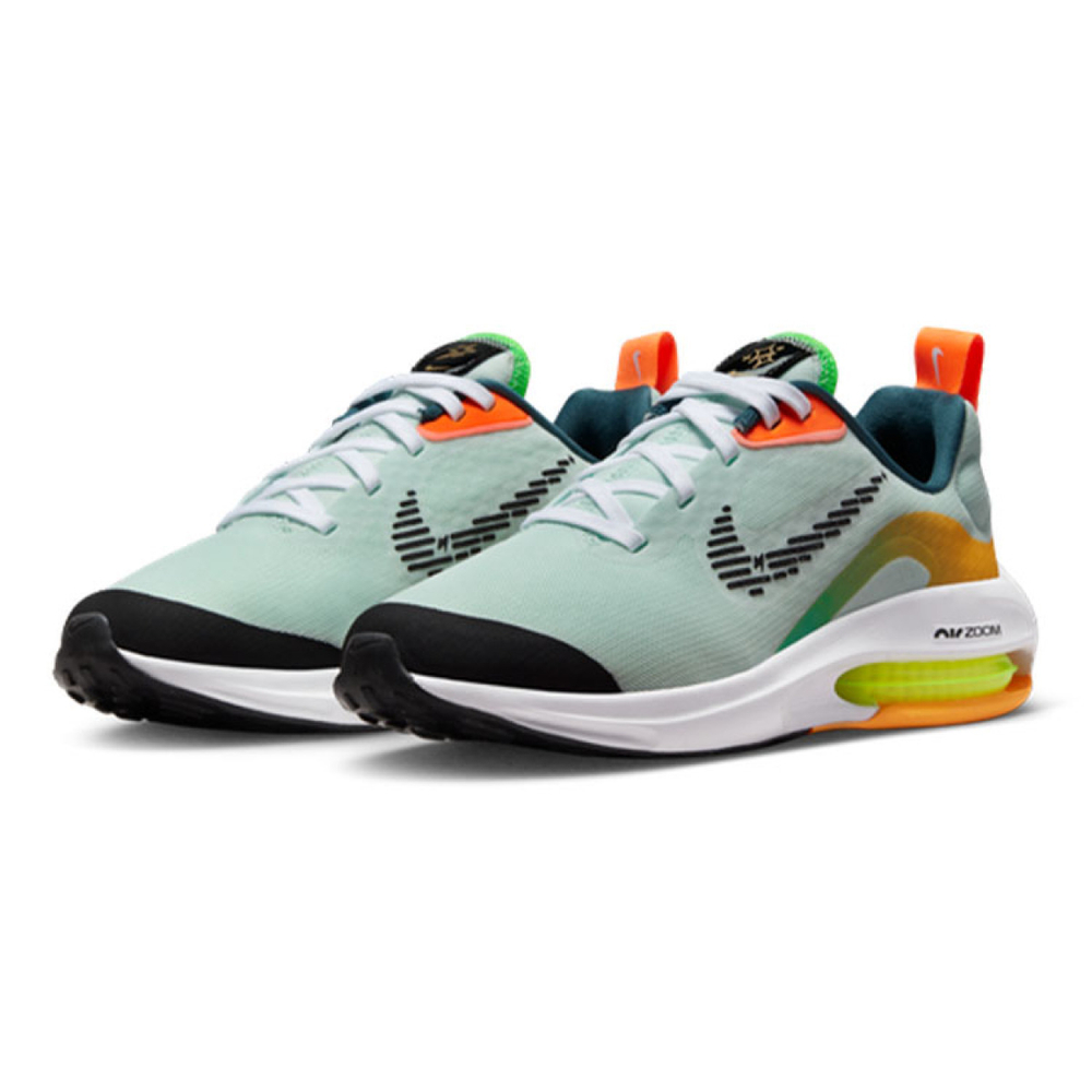 Nike Air Zoom Arcadia 2