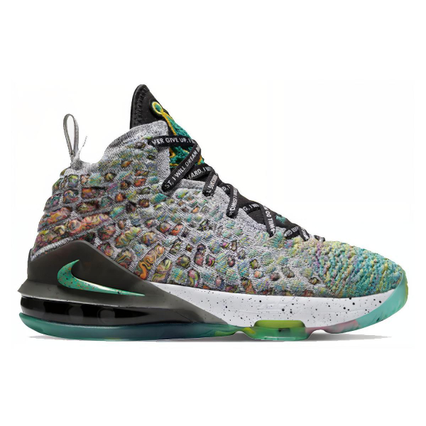 Nike Lebron 17 I Promise