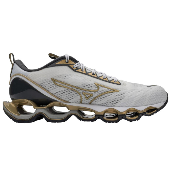 Mizuno Pro