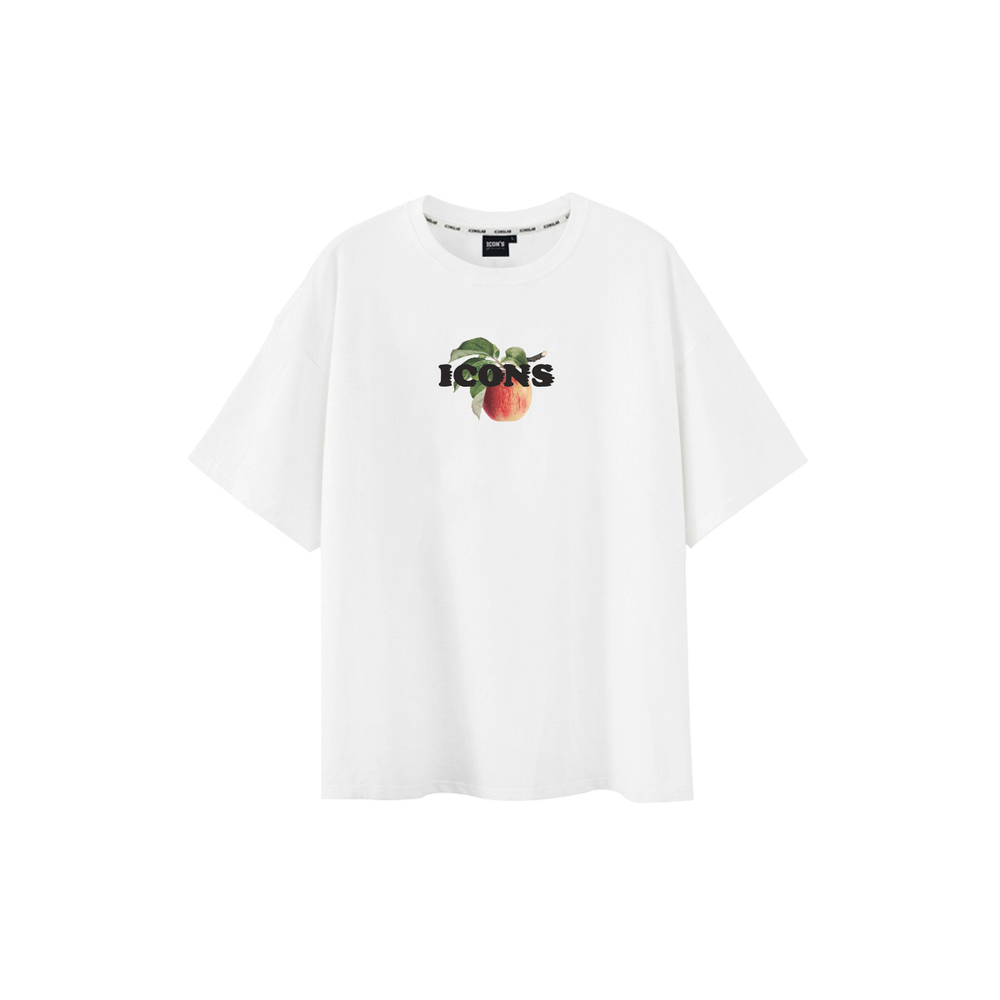 ICONS Lab T