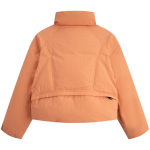 CK/Calvin Klein Logo