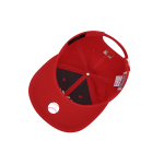 MLB x