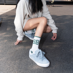 Ollieskate